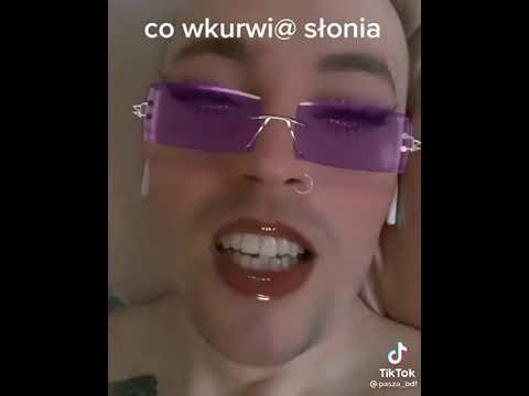 CO WKURWlA SŁONIA BRAINDEAD? #shorts #SŁOŃ