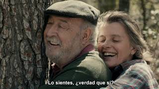 TRAILER : UNA MUJER CON ALAS TREMENDAS