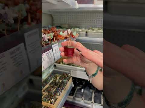 Copac in ghiveci cu pietre semipretioase mix - 8cm