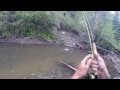 Fly Fishing Cimarron River New Mexico