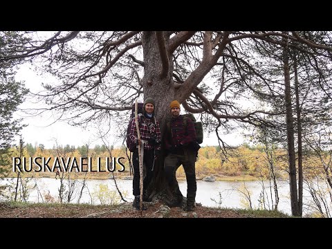 Muotkatunturin erämaassa syyskuussa 2021