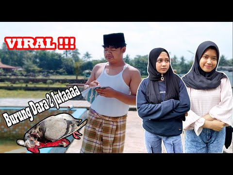 film-pendek-tabrak-lari