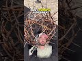 The crown of thorns actually looked like this! #Jesus #Bible #cross