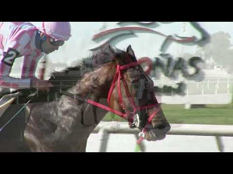 221001 c04 SPRINGBOKS