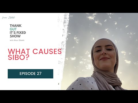 What Causes Sibo? Episode 27 Thank Gut It's Fixed Show