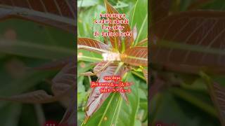 Download lagu bukan aku tak cinta#iklim #bukanakutakcinta mp3