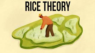What to think of the Rice Theory of the Japanese Character