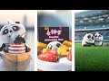 AWW SO CUTE!!! BABY PANDAS Playing With Zookeeper | Funny baby pandas | Baby panda falling #21