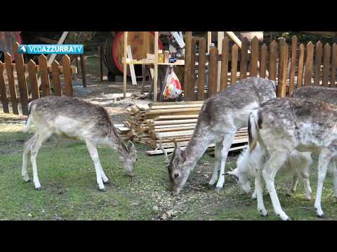 Lunedì 4 maggio riapertura del parco di Villa Pallavicino a Stresa