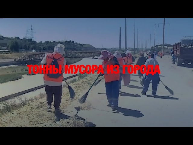 В Шымкенте проходит республиканская экологическая акция «Таза Казахстан»