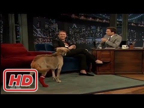 [Talk Shows]Ryan Gosling's Dog has a Mohawk
