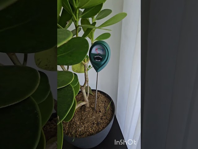 Vídeo relacionado con Nizirioo Termómetro Interior y Exterior Grande: 2 en 1 Barómetro Analógico de 10 Pulgadas Con Medidor de Humedad Para Jardín