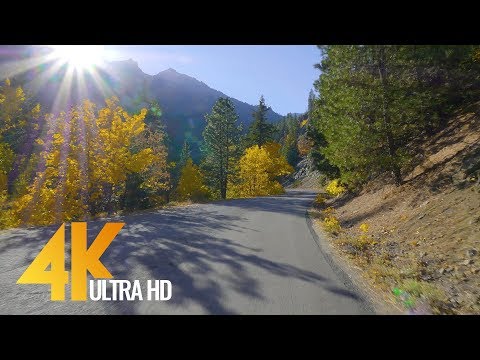 download lagu mp3 mp4 Fall Drive, download lagu Fall Drive gratis, unduh video klip Fall Drive
