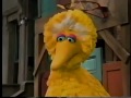Sesame Street The Count S Australian Friend