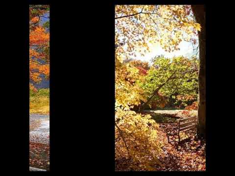 Liza Fox Динамит