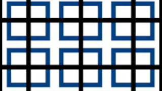 Los Paranoias - My fish half dying