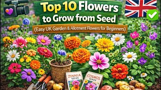 🎥 🎥 🌸 Top 10 Flowers to Grow from Seed (Easy UK Garden & Allotment Flowers for Beginners)