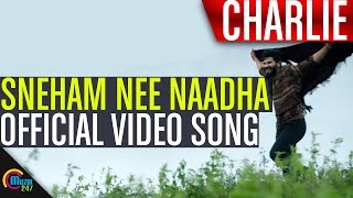 Charlie  Sneham Nee Naadha Song Video  Dulquer Sal