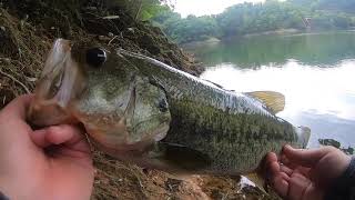 【サイト】やっぱり信じる物はゲーリーだよね【バス釣り】