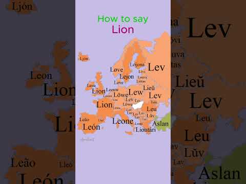 How to say Lion | Wild Animals | European Languages Comparison #shorts #comparison #language