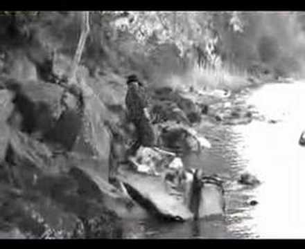 The Frail - Count on This