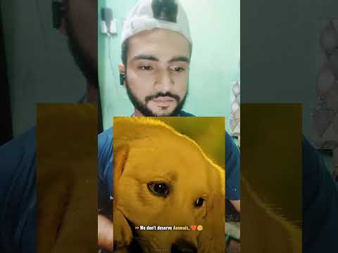 Dog Life #viral #tranding #short #video #reel #abdul_ hamid #abdul _jabbar