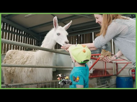 Thornton Hall Country Park