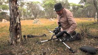 preview picture of video 'Photographing Orchids - York, Western Australia'