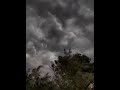 Barish Ka Mausam ️ Beautiful Nature ️ Video ️ WhatsApp Status Video Barish Virel Shorts Short