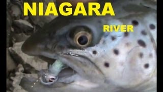 preview picture of video 'Bill & Mike -vs- the Mighty NIAGARA'
