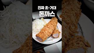 이제는 먹을 수 없게 된 초-거다이막스 돈까스 #shorts #맛집