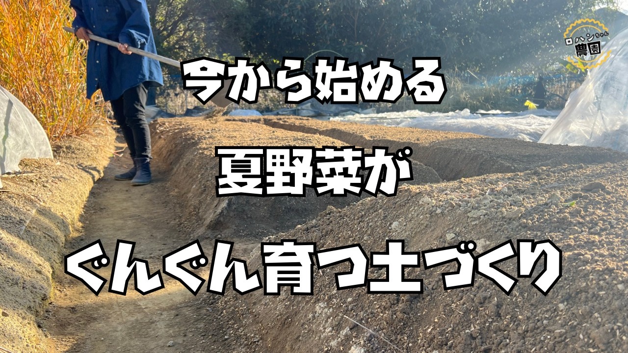 夏野菜　植え付けに向けての【土づくり】【農家の家庭菜園】