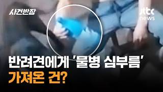 반려견에게 '물병 심부름'…가져온 건? #글로벌픽 / JTBC 사건반장