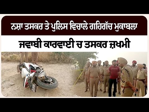 ਨ/ਸ਼ਾ ਤ/ਸਕਰ ਤੇ ਪੁਲਿਸ ਵਿਚਾਲੇ ਗ/ਹਿਗੱ/ਚ ਮੁਕਾ/ਬਲਾ, ਜਵਾਬੀ ਕਾਰਵਾਈ ਚ ਤਸ/ਕਰ ਜ਼ਖ/ਮੀ