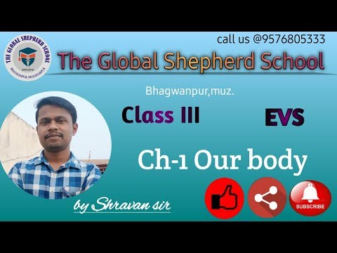 Class-03 | EVS