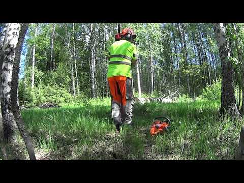 Taljalla, tunkilla ja hyvällä munkilla