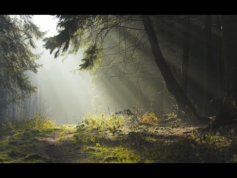 M-Tric - Colored dreams (Official Video)