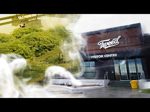 Tweed -  Canopy Growth Corporation | Canada, Toronto | Cannabis Factory Review