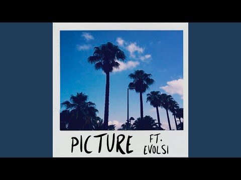 Picture (feat. Evolsi)
