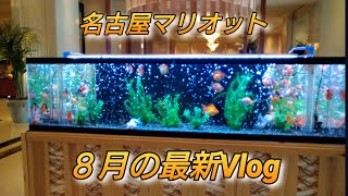 名古屋マリオット　８月の最新Vlog
