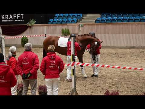 Vivaldi/D-Day ( Helbror til Vitalis )