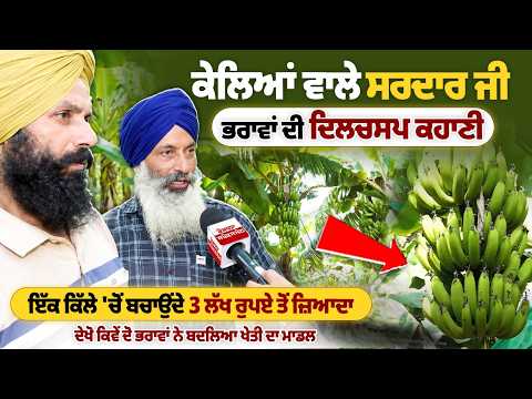 ਕੇਲਿਆਂ ਵਾਲੇ ਸਰਦਾਰ ਜੀ ਭਰਾਵਾਂ ਦਾ ਕਮਾਲ! ਇੱਕ ਕਿੱਲੇ 'ਚੋਂ 3 ਲੱਖ ਤੋਂ ਵੱਧ ਦੀ ਬਚਤ, ਬਦਲਿਆ Farming Model |