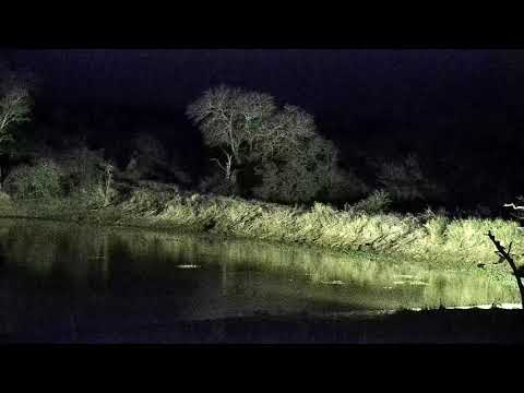 Djuma: Sights and sounds - 21:30 - 09/16/21