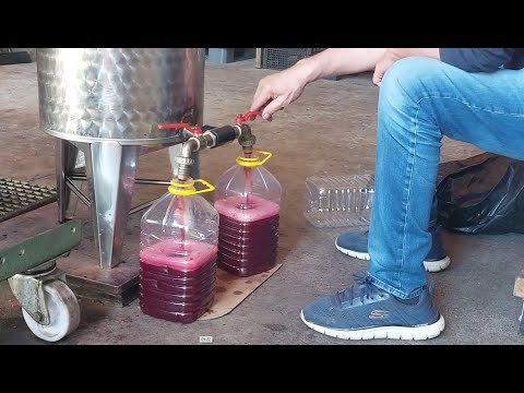 Pogledajte kako se pravi najzdraviji sok na svijetu u Čapljini. Hercegovački divlji nar / šipak.