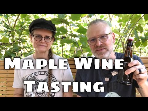Maple Wine Tasting - Wine made from MAPLE Syrup!
