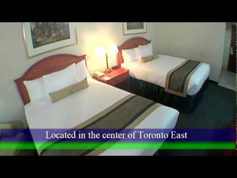 Best Western Executive Inn 2 Queen Beds