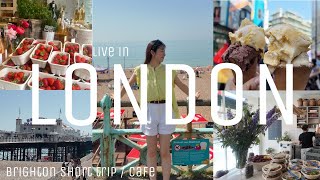 【London vlog】ロンドンで過ごす日常vlog💂🎀 ブライトン🏖️|リットモンドのガーデンカフェ🪻 |プレミア・CL決勝 ⚽️|おしゃれデリ🥯