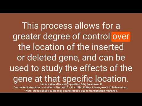 Transgenic Strategies in Mice and Gene Expression Modifications: A Review in Q&A Format