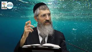 הרב יצחק יוסף (הנכד) - כשרות מאכלים טבילת כלים חלק ב (ארגון ענפים) - התמונה מוצגת ישירות מתוך אתר האינטרנט יוטיוב. זכויות היוצרים בתמונה שייכות ליוצרה. קישור קרדיט למקור התוכן נמצא בתוך דף הסרטון