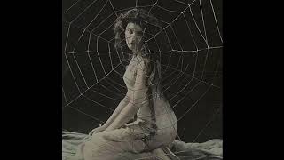 freak — lana del rey | 𝒔𝒍𝒐𝒘𝒆𝒅 &amp; 𝒓𝒆𝒗𝒆𝒓𝒃